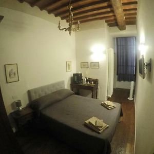 Stefy House